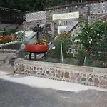 Ziemons