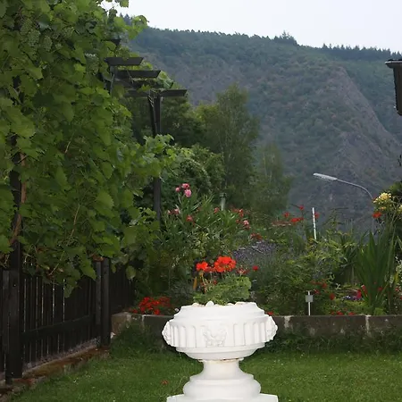 Guest house Ziemons *