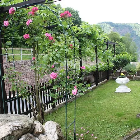 Casa de hóspedes Ziemons Cochem