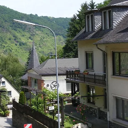 Ziemons コッヘム