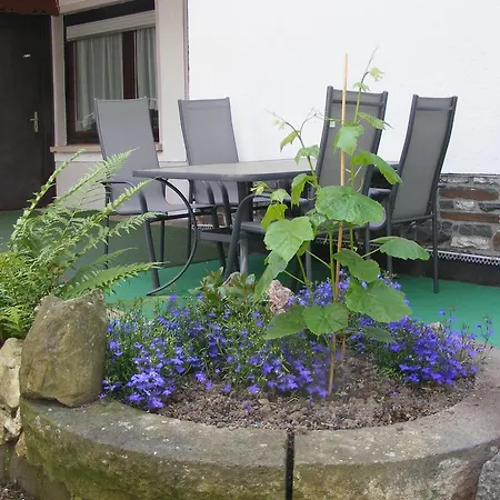 Casa de hóspedes Ziemons Cochem