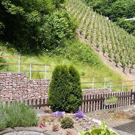 Ziemons Cochem